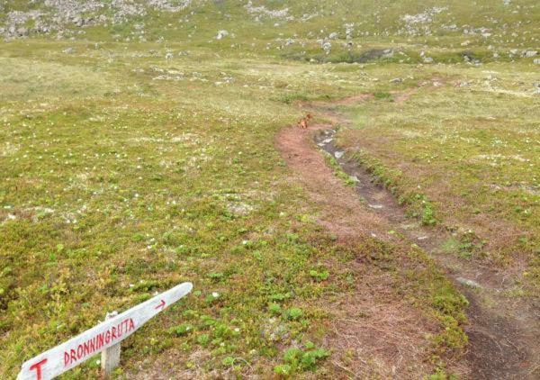Nyksundrom, Nyksund Hotell Exteriör bild