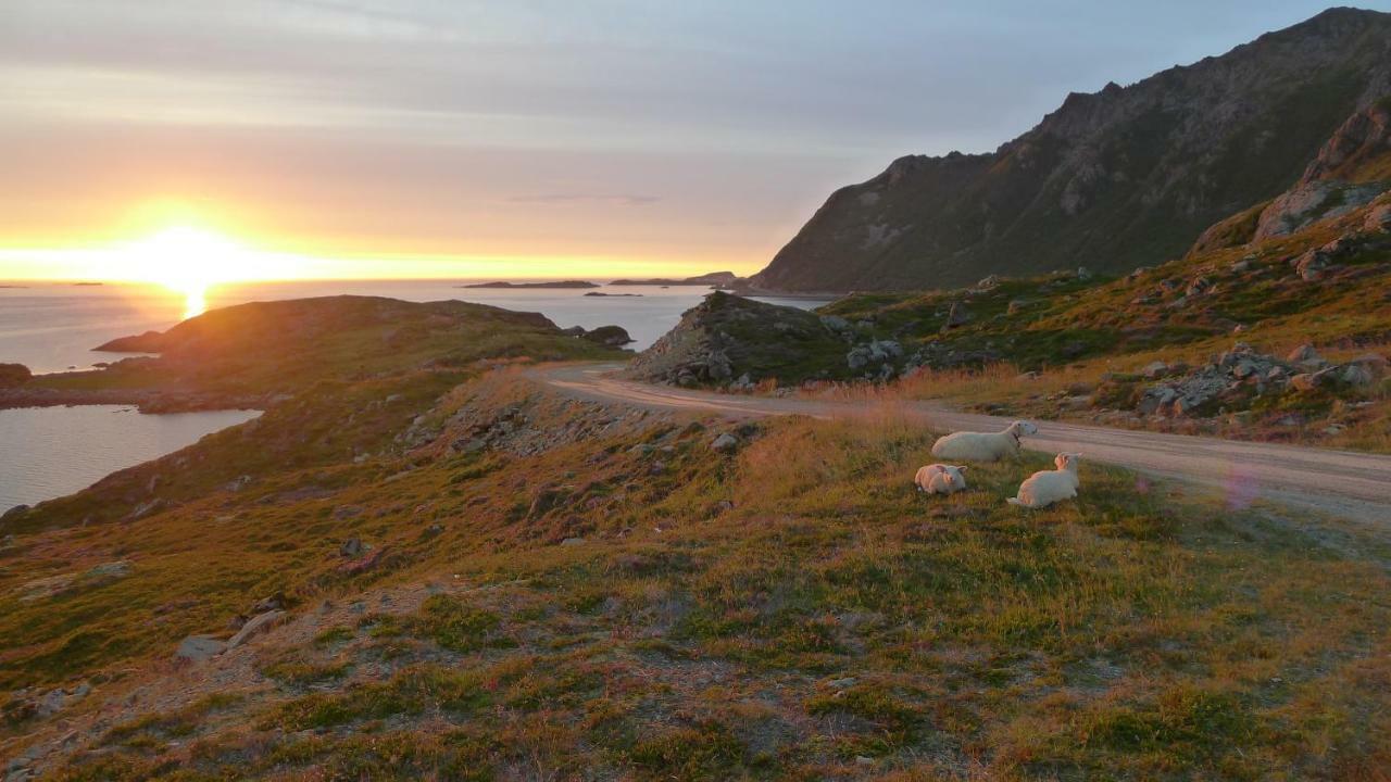 Nyksundrom, Nyksund Hotell Exteriör bild